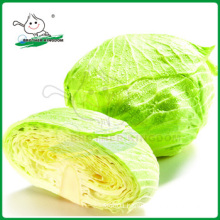 Fresh green cabbage/Cabbage from China/New crop cabbage